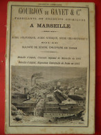 PUB 1884 - Produits Chimiques Gourjon De Gayet, Chlorure Chaux Grimes 13 Marseille, Sel Magnésie & Soude Lafin-Dallier72 - Publicités