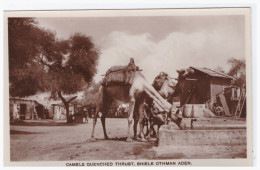 YEMEN - ADEN - Camels Quenched Thrust, Shielk Othman Aden (carte Photo Animée) - Yémen