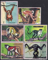 244 - Ajman - Monkeys - Used Set - Singes