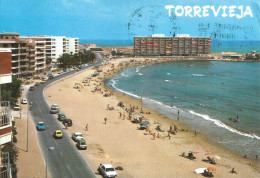 Ref (  19066  )  Torrevieja - Alicante