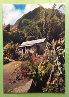 LA REUNION , Les Hauts De L'Ile , Maison D'habitation,  Années 70, Ed Cladere, TB - Saint Denis