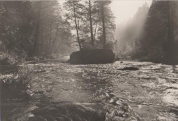 15183 - Scheibe-Alsbach - Schwarzatal - Morgenstimmung - Ca. 1975 - Sonneberg