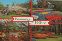 102923 - Niederlande - Holland - Keukenhof - Ca. 1985 - Lisse