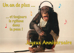 Animaux - Singes - Chimpanzé - Carte à Message - Carte Anniversaire - Carte Neuve - CPM - Voir Scans Recto-Verso - Singes