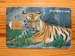 Phonecard South Korea, Chip - Tiger - Corée Du Sud