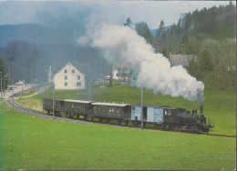 Schweiz - 8340 Hinwil - DVZO-Dampfzug Ob Neuthal - Tigerli - Station - Eisenbahn - 2x Nice Stamps "Polska" - Hinwil