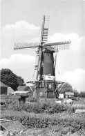 E739 - Gieterveen Bij Gieten Korenmolen De Eendracht - Molen - Moulin - Mill - Mühle - Sonstige & Ohne Zuordnung