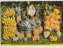 Australia QUEENSLAND QLD Bananas Pawpaws Avocados TROPICAL FRUIT SUNSHINE COAST C1970s Postcard 1 - Sunshine Coast