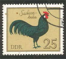 444 Germany DDR Coq Rooster Hahn Haan Gallo Poule Hen Huhn (DDR-23) - Farm