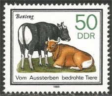 444 Germany DDR Vache Cow Vaca Kuh Koe Mucca Vacca Banteng MNH ** Neuf SC (DDR-20) - Cows