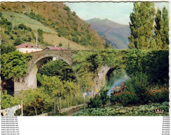 D64  BIDARRAY  Le Pont Romain  ..... - Bidarray