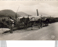 D64  PAYS BASQUE  Sur La Route D' Ascain  ..... - Ascain