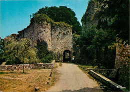 53 - Sainte-Suzanne - Entrée Du Château - Carte Neuve - CPM - Voir Scans Recto-Verso - Sainte Suzanne