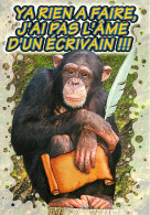 Animaux - Singes - Chimpanzé - Carte à Message - Carte Neuve - CPM - Voir Scans Recto-Verso - Singes