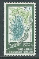 TAAF N° 244 XX  Flore Antarctique : Festuca Contracta,  Sans Charnière, TB - Ongebruikt