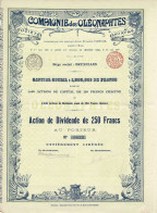 - Titre De 1899 - Compagnie Des Oléonaphtes - Société Anonyme - N°0835 - Petróleo