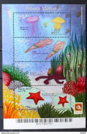 B 162 Brazil Stamp Marine Fauna 2011 Hole Clip 1 - Ungebraucht