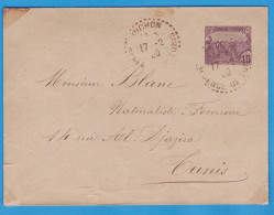 ENVELOPPE ENTIER POSTAL TUNISIE - 15 C. LABOUREURS VIOLET - REGENCE DE TUNIS - OBLITERATION DE 1920 - Covers & Documents