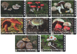 8 Pc. Mushrooms, Spain  2019 - Tamaño Pequeño : 2001-...