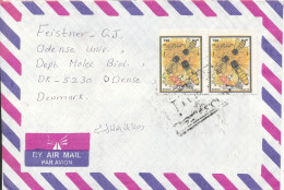 Iraq Air Mail Cover Sent To Denmark BEES On The Stamps - Iraq