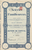 - Titre De 1920 - Aciéries De Familleureux - Société Anonyme  - - Industrie