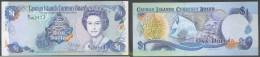 5329 CAIMAN Islas 1991 CAYMAN ISLANDS 1 DOLLAR 1991 - Caraibi Orientale