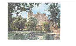 CLISSON   LE CHATEAU ET LA SEVRE            ***      A SAISIR **** - Clisson