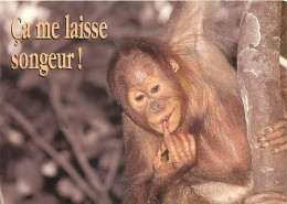 Animaux - Singes - Bébé Orang-Outan - Carte à Message - Carte Neuve - CPM - Voir Scans Recto-Verso - Singes