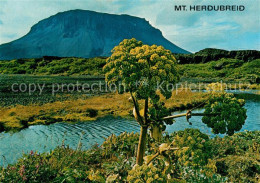 73577728 Island Mount Herdubreid Landschaftspanorama Island - Island