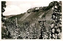 73575920 Traben-Trarbach Burgruine Grevenburg Weinberge Traben-Trarbach - Traben-Trarbach