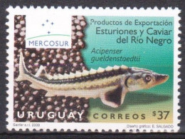 2009 URUGUAY Poisson Fish Esturion Esturgeon Sturgeon Caviar  Yv 2405 - Uruguay