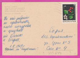 309644 / Bulgaria - Golden Sands (Varna)  Casino Kasino Building PC 1969 USED - 1 St. Mespilus Oxyacantha Crataegus - Piante Medicinali