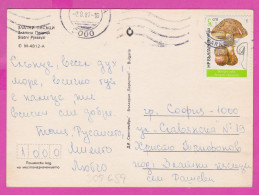 309659 / Bulgaria - Golden Sands (Varna) Black Sea Resort  Sailing Hotel PC 1987 USED - 5 St Mushroom Blusher Fungi - Pilze