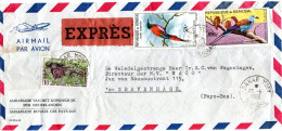 SENEGAL, Express Letter, Roller, Bee - Eater      /      Lettre D`exprés, Rollier, Guepier De Nubie - Songbirds & Tree Dwellers