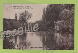 91 ESSONNE - CP BALLANCOURT - L'ETANG FLEURI DE VERT LE PETIT - PHOTO G. DUCLOS BALLANCOURT N° 20 - CIRCULEE - Ballancourt Sur Essonne