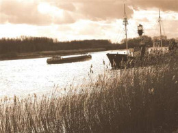 De Schelde Te Temse - Sonstige & Ohne Zuordnung