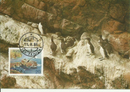 Carte Maximum - Oiseaux - Portugal - Airo - Guillemot De Troïl - Uria Aalge - Maximum Cards & Covers