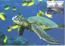 Carte Maximum - Portugal Europa - Especies Ameaçadas Tartaruga Comum - Caretta Caretta - Loggerhead Sea Turtle Caouanne - Maximumkaarten