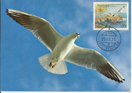 Carte Maximum - Oiseaux - Portugal - Gaivota - Mouette Rieuse - Seagull - Larus  Ridibundus - Cartes-maximum (CM)