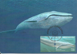 Carte Maximum - Portugal Europa - Especies Ameaçadas Baleia Azul Balaenoptera Musculus - Baleine Bleue Blue Whale - Cartes-maximum (CM)