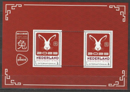 Nederland NVPH 3197 Vel Chinees Nieuwjaar Jaar Van Het Konijn 2023 MNH Postfris Chinese New Year Astrology - Ungebraucht