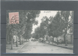 ALGÉRIE - ALGER - - Hombres