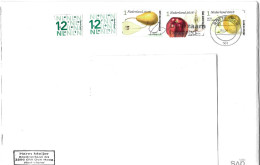 PAYS-BAS, Fruits, Poire, Pommes, Sur Lettre 2024 - Storia Postale