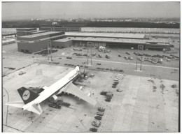 C5681/ Flughafen Frankfurt Lufthansa Cargo Flugzeug Foto 24 X 17,5 Cm 1982 - Altri & Non Classificati