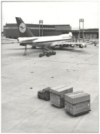 C5682/ Flughafen Frankfurt Lufthansa Cargo  Boeing 747 Flugzeug Foto  1982 - Altri & Non Classificati