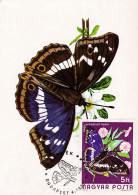 Carte Maximum Hongrie Hungary Papillon Butterfly 2399 - Tarjetas – Máximo