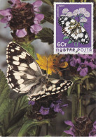 Carte Maximum Hongrie Hungary Papillon Butterfly 2395 - Cartes-maximum (CM)