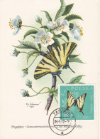 Carte Maximum Pologne Poland Papillon Butterfly 1148 - Maximumkarten