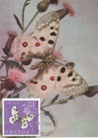 Carte Maximum Pologne Poland Polska Papillon Butterfly 1149 - Tarjetas Máxima