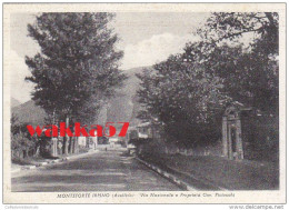 AA219- Monteforte Irpino - Via Nazionale E Proprietà Cav. Piciocchi - Avellino - F.g. Viaggiata - Avellino